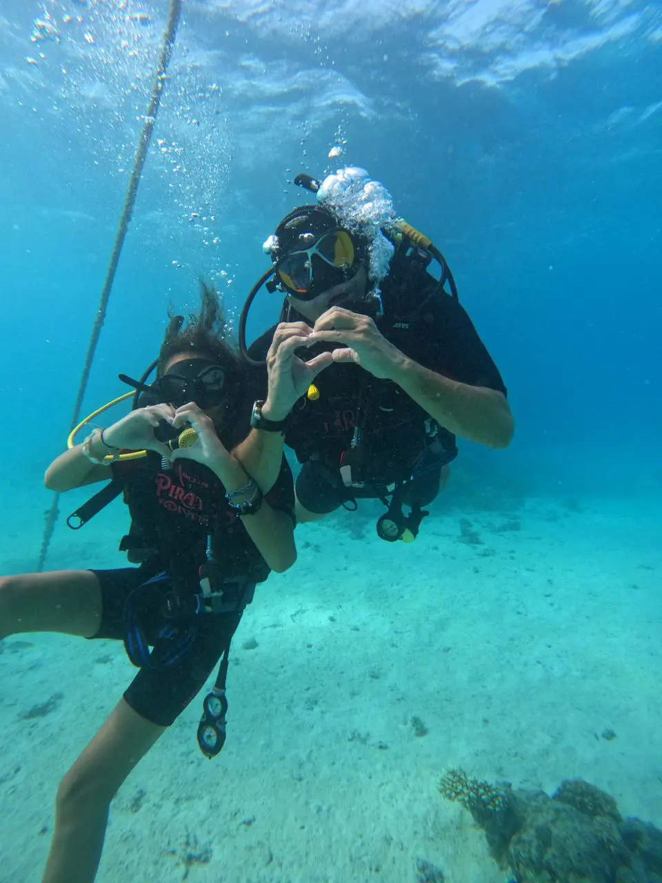 Dive courses 